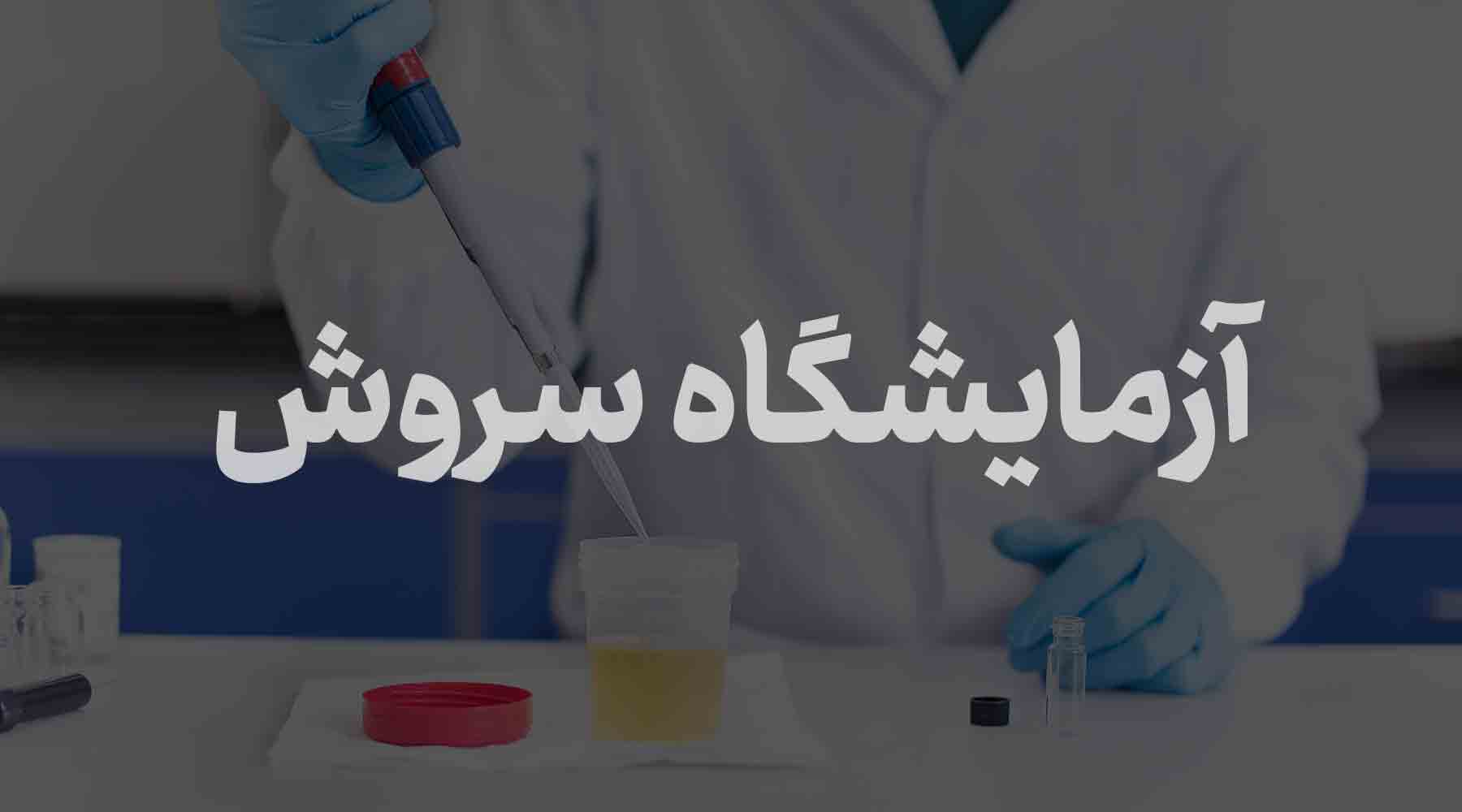 soroush soroush