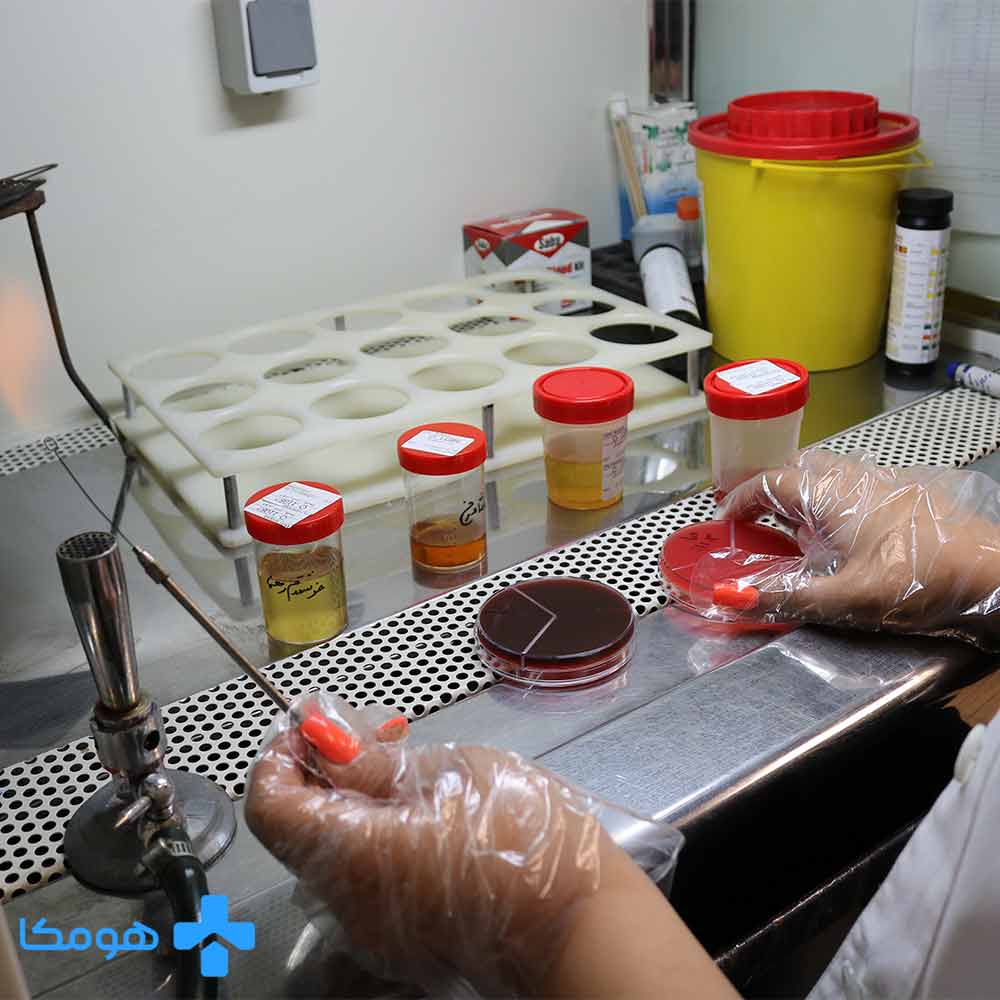 laboratories homeca laboratories_icon