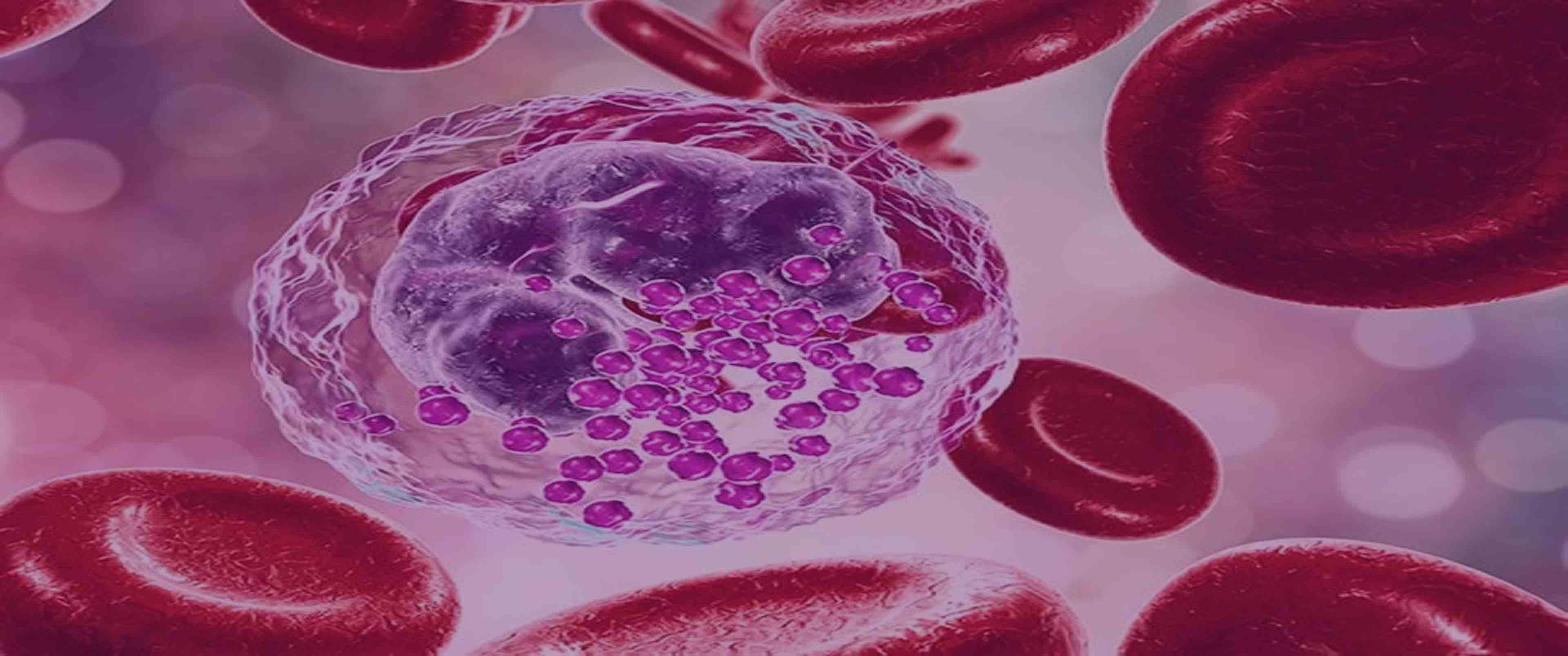 آزمایش Basophil