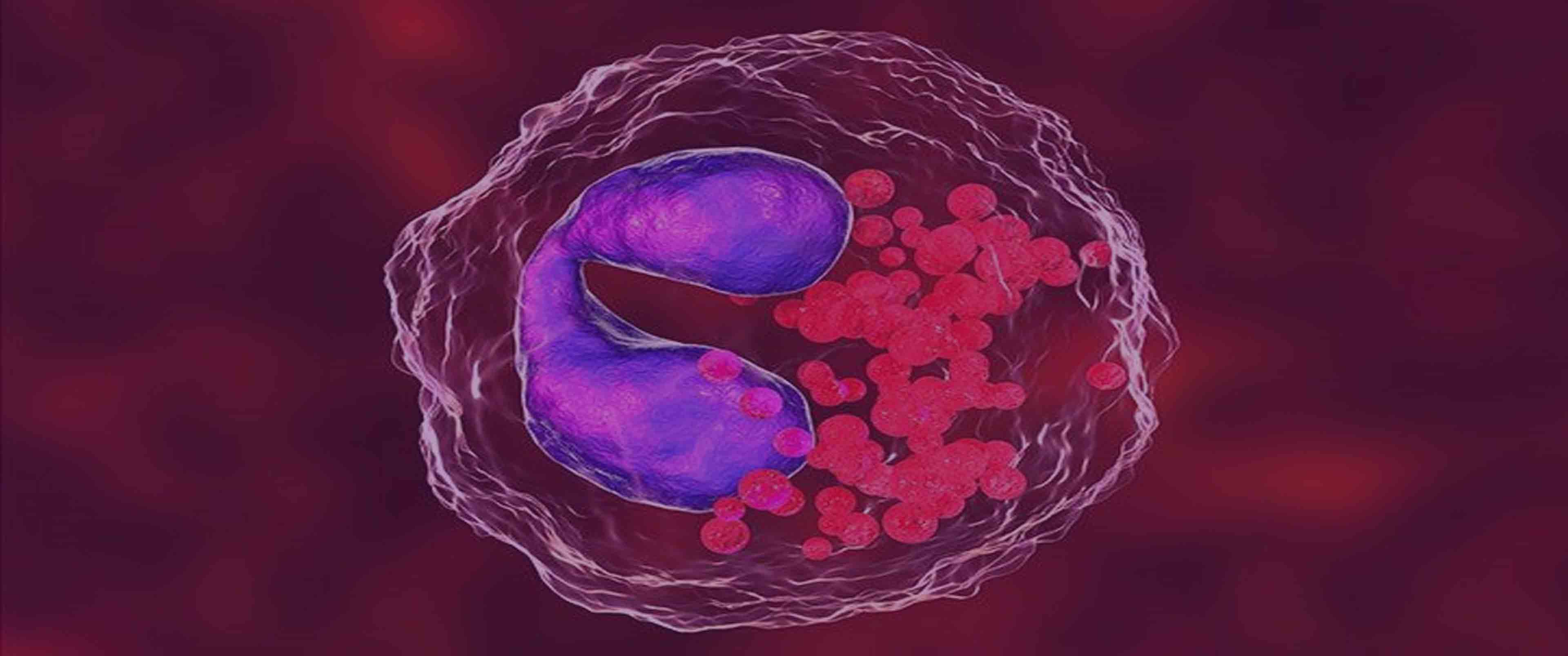 آزمایش Eosinophils