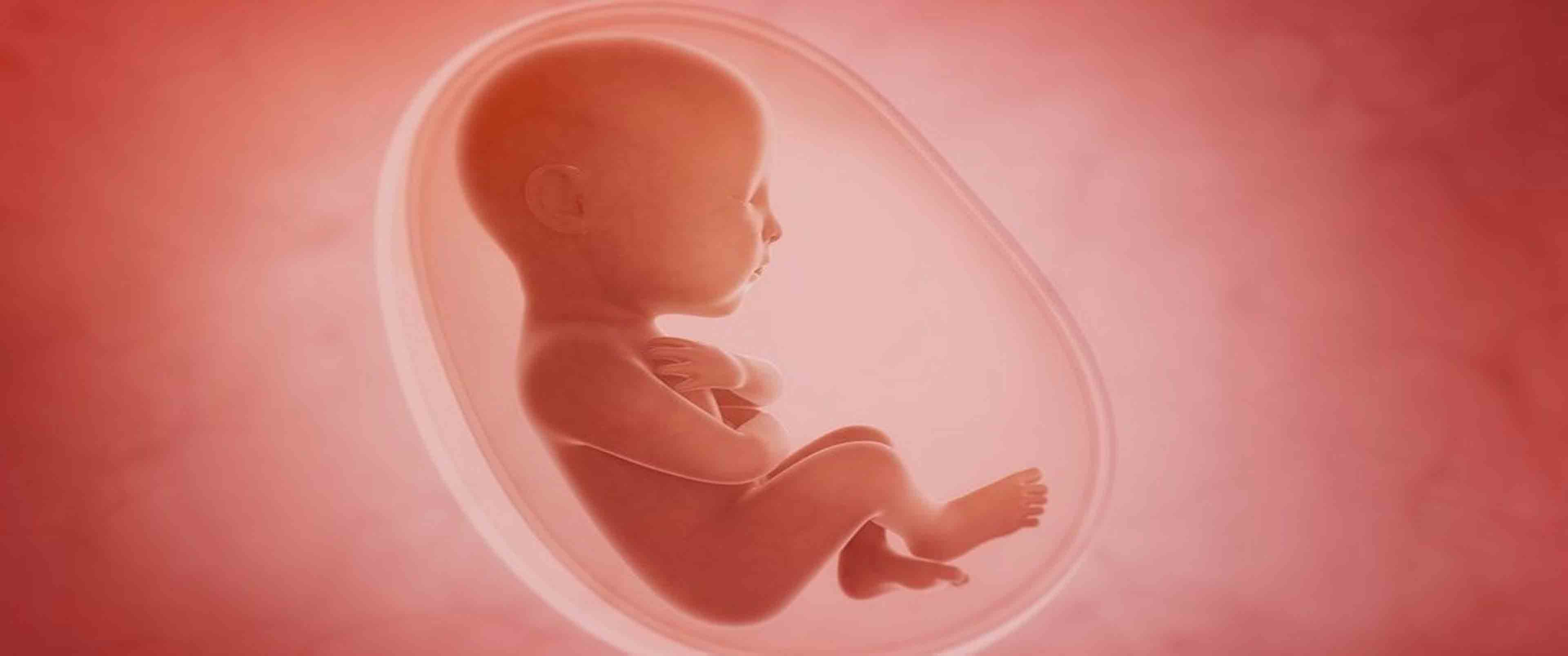 آزمایش غربالگری سه ماهه اول