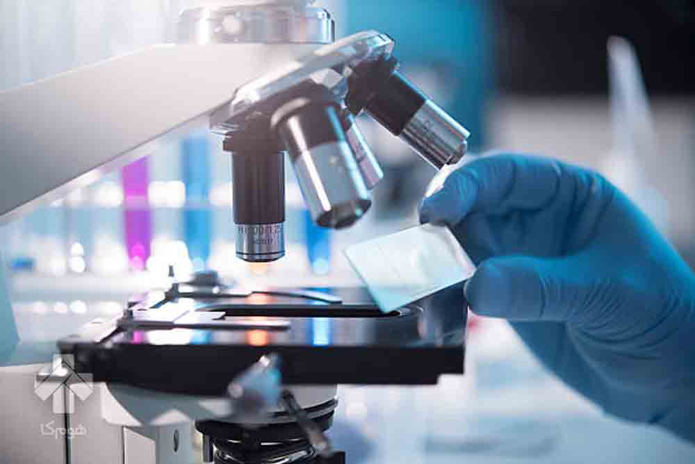 آزمایشگاه در ونک