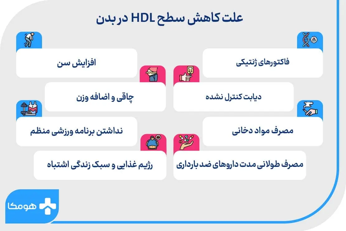 علت کاهش سطح HDL در بدن چیست؟