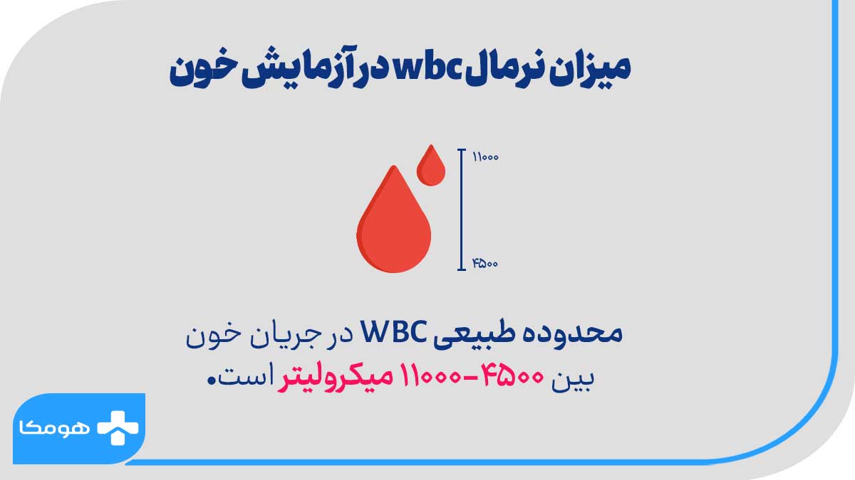 تفسیر wbc در آزمایش خون
